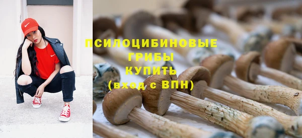 тгк Аркадак